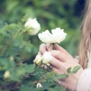 백림목욕탕 이미지