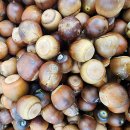 도토리묵 한 그릇만 하려고 했는데 이미지