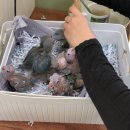 신기부화장 이미지