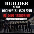 빌더바디