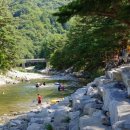 샘골주유소 이미지