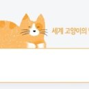 개냥이 세계 이미지