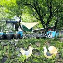 내고향산장 이미지