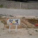 선린어린이집 이미지