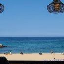 추암횟집대게 이미지