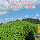 장동석내과의원 이미지