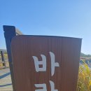 늠내길 2코스 갯골길 Daum카페