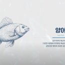 대한사료