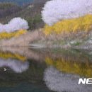 사진이야기 - 제주시 관덕로 36 | 사진이야기