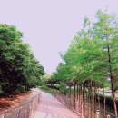 수목원 백년식당 | [선유도공원] 나혼자산다 벅시스터즈 갔던곳! 나도가봤다