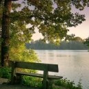 가평행정사 이미지