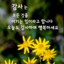 모임커피 이미지