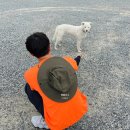 원효암 | 양산 천성산ㅣ원효암 - 원효봉 - 비로봉 등산코스 다녀온 후기