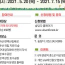 편백인 울산 이미지