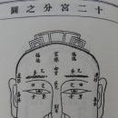 달마 Daum카페