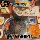 울산맛집 조개구이&amp;삼겹살맛집 돼바라기 방문후기