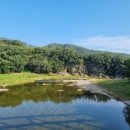 방호정민박 이미지