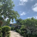 들물 관광농원 이미지