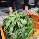 웅기농장 이미지