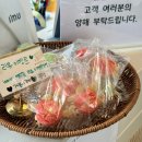 377 | 하남 대형카페 “THE377 베이커리카페” 재방문 후기! 케이크 사러 갔다가 빵까지 한가득 🍞