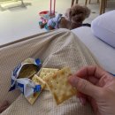 수진3호 이미지