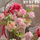 꽃집;오월그리고작은책방 | 울산 동구 꽃집 카밍플라워 카네이션 꽃다발 잘하는곳 내돈내산 후기