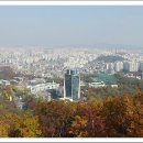 남산로 이미지