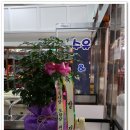 이가네김 이미지