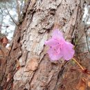 대교  마을회관 이미지