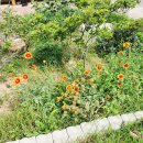 고란집 민박 이미지