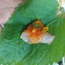 1번가횟집 이미지