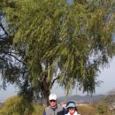 파크골프 이미지