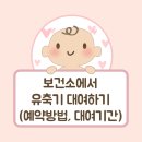 흥덕보건소 | [출산기록] 청주 흥덕보건소에서 스펙트라 유축기 대여 후기 (예약 필수 / 대여 기간)