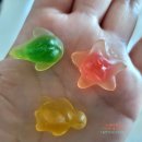 (주)사조그랜드리조트 | 뚜이호아 살라 그랜드 호텔 재방문 솔직 후기 | 이번엔 좀 달랐어...