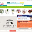 배철수 플라워
