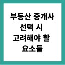 부일부동산중개인사무소 | 부동산 계약 시 중개사 선택 시 고려해야 할 요소들