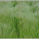 오월의 언덕 이미지