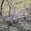 산동카 Daum카페