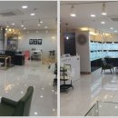 어바웃독 이미지