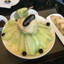 코야 이미지