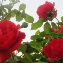 부안고등학교 이미지