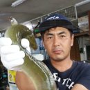 대물장어 이미지