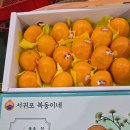 부모님 선물용 아스미 귤 판매. 이미지