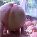 상욱농장 네이버블로그