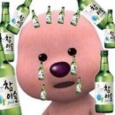 청정생돈 이미지
