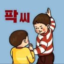 아쿠아팩토리 이미지