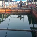 부흥호가두리낚시터 이미지