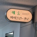 예숲 이미지