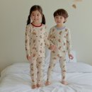 아이퍼피 이미지