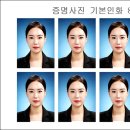 자연사진관 이미지